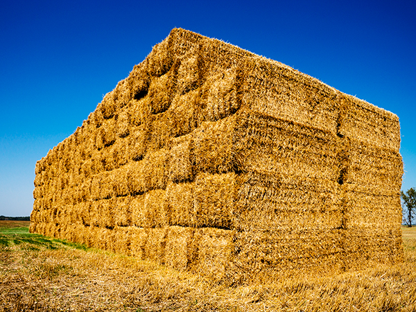 Hay stack in the field