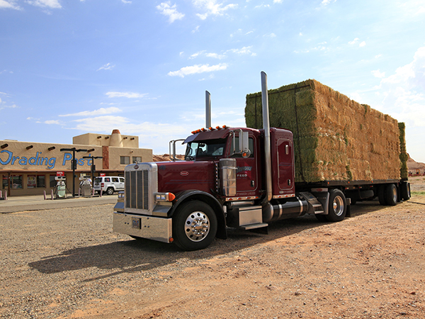 Hay Truck